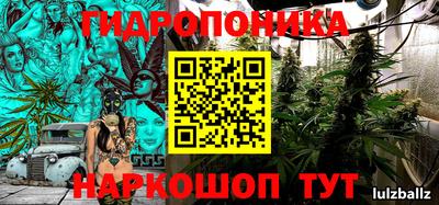 сатива Краснокаменск