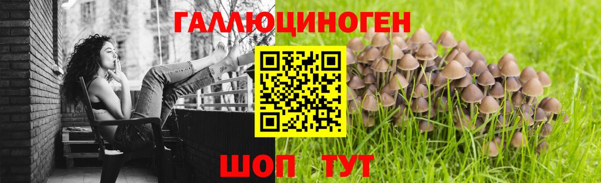 Уссурийск  Псилоцибиновые грибы ЛСД  Вход с VPN 
